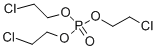 115-96-8 Tris(2-chloroethyl) phosphate
