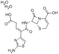 Cephalosporins cloth temple