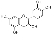 Green Tea Extract