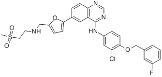 Lapatinib