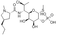 lower price! Clindamycin phosphate 24729-96-2