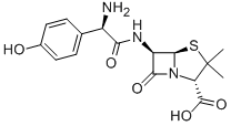 Amoxicillin